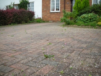 Paved drive before cleaning